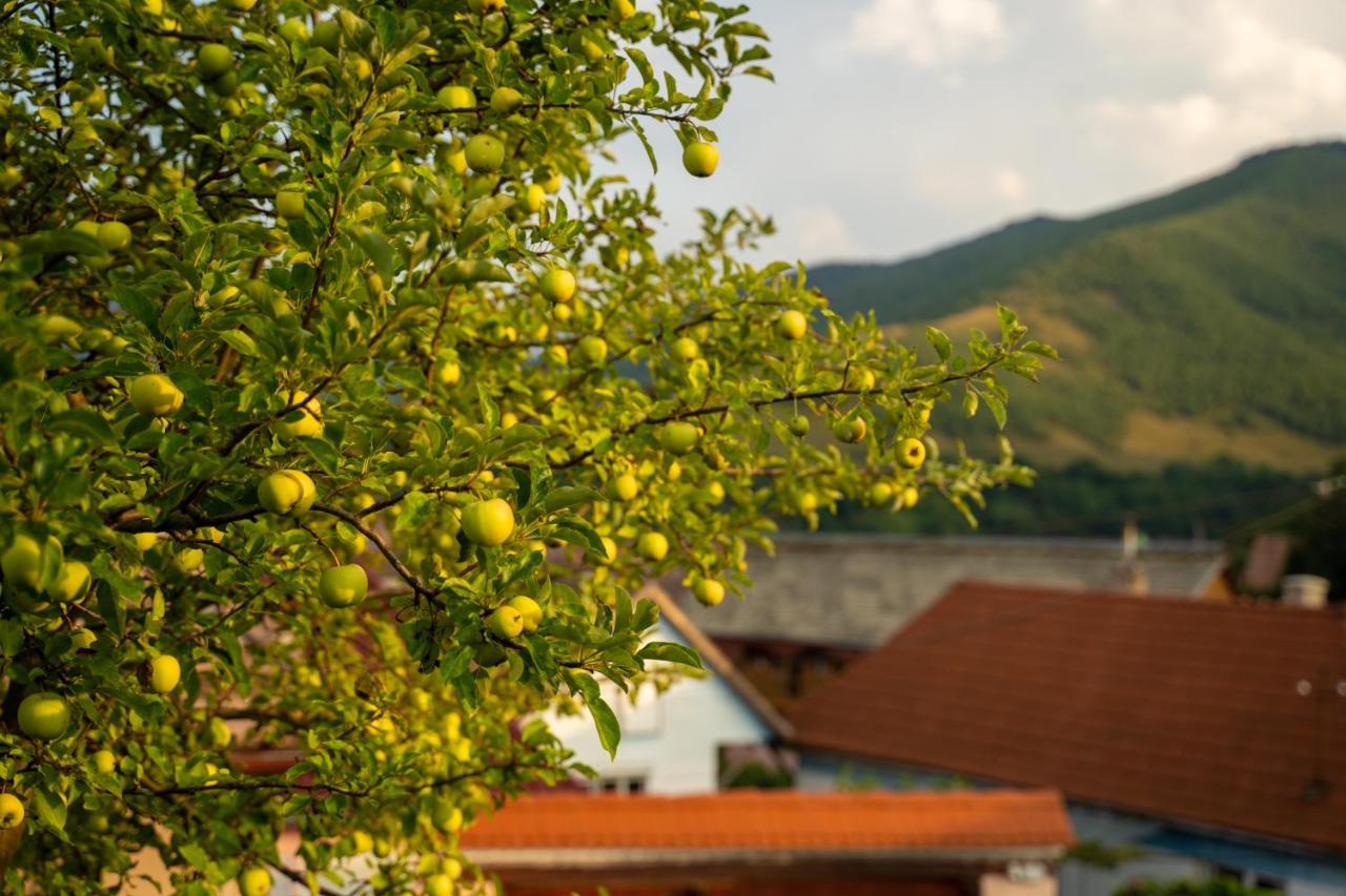 Apartament Panoramic La Casa In Comuna Răşinari Екстериор снимка