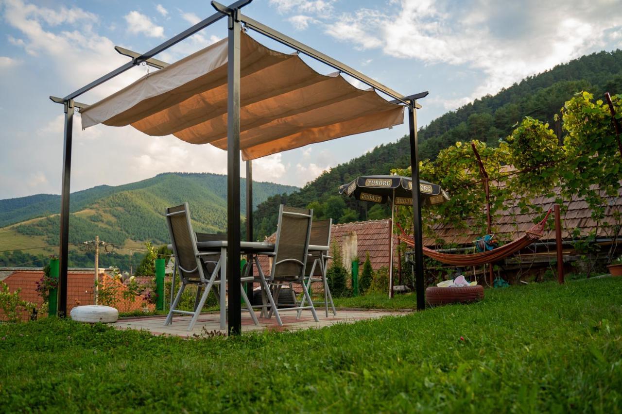 Apartament Panoramic La Casa In Comuna Răşinari Екстериор снимка
